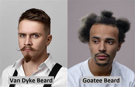 van dyke goatee|van dyke goatee beard.